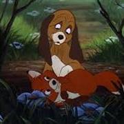 HOLIDAY DUO (21) FOX