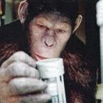 rise-of-the-planet-of-the-apes-immagini19602.jpg