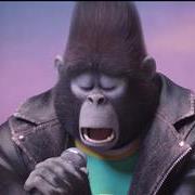 sing_trailer_t3397.jpg