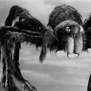 tarantula1002.jpg