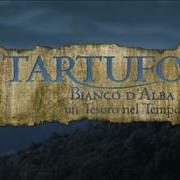 tartufo_tesoro6637.jpg