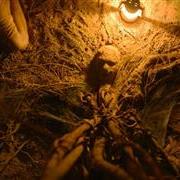 tumbbad7956.jpg