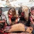 walking_dead_2.15942.jpg