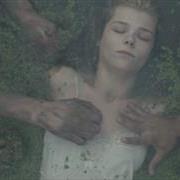whenthetreesfall7110.jpg
