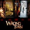 wrong_turn8718.jpg