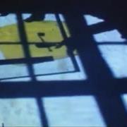 yellow_feved2859.jpg